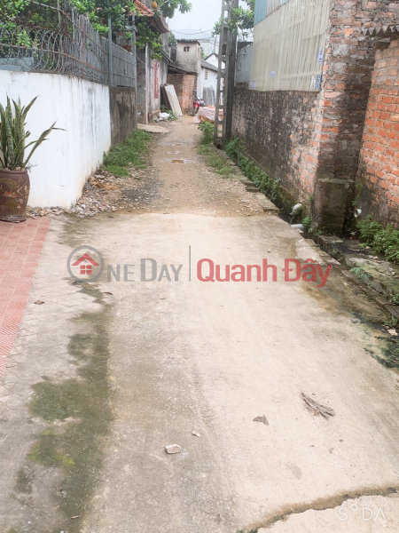 Phuong Dong Phuong Chau near Sports School Dt: 66 m full residential land with red book, Vietnam, Sales đ 1.75 Billion