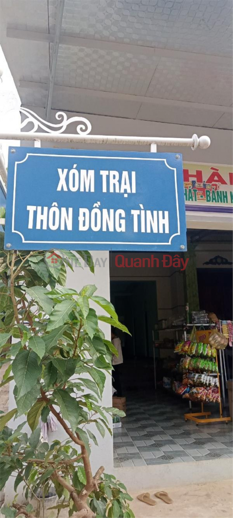OWNER Needs to Sell Land LOT Quickly In Dinh Hung Commune, Yen Dinh District, Thanh Hoa Province. _0