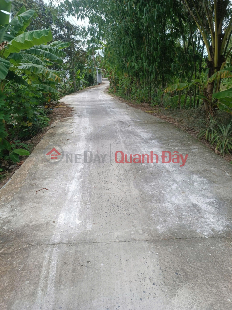 BEAUTIFUL LAND - GOOD PRICE - URGENT SALE Potential Land Lot In Thuong Thanh Ward, Cai Rang District, Can Tho _0