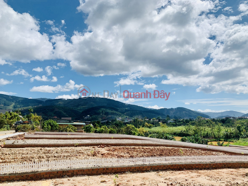 Property Search Vietnam | OneDay | Nhà ở | Niêm yết bán | Chỉ hơn 1 tỷ có ngay 549m2 đất thổ cư QH lên TP Đà Lạt bao vay NH 60%