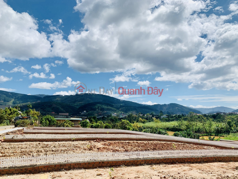 Property Search Vietnam | OneDay | Nhà ở Niêm yết bán Chỉ hơn 1 tỷ có ngay 549m2 đất thổ cư QH lên TP Đà Lạt bao vay NH 60%