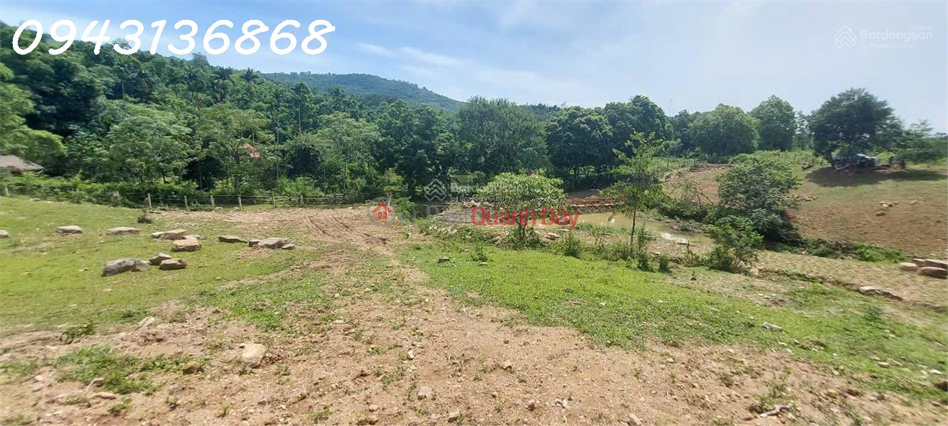 Siêu phẩm đất nghỉ dưỡng tại Hòa Sơn, Lương Sơn, Hòa Bình cơ hội đầu tư không thể bỏ lỡ | Việt Nam | Bán | đ 23,1 tỷ