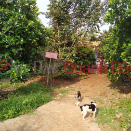 OWNER Sells Land With Beautiful Location In Phu Thinh Commune, Tan Phu District, Dong Nai _0