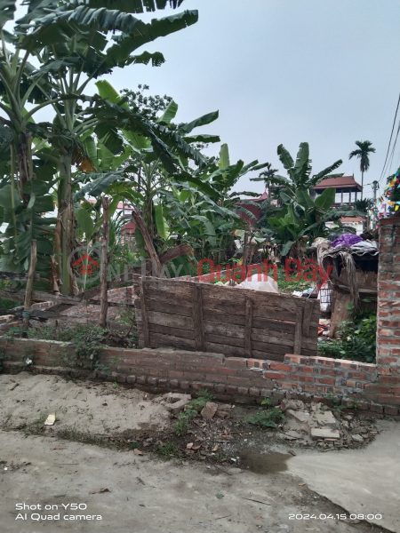 Property Search Vietnam | OneDay | Residential Sales Listings, The owner needs to urgently sell the Ngoc Liep auction plot of 60m2 with road surface for car subdivision