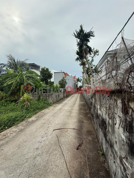 1.6x billion 96m2 Lane 221 Tan Thanh Duong Kinh Zalo 0567222555, Vietnam Sales, đ 1.68 Billion