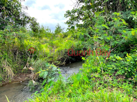 Owner sells garden land in Binh Trung, Chau Duc, BRVT at a loss _0