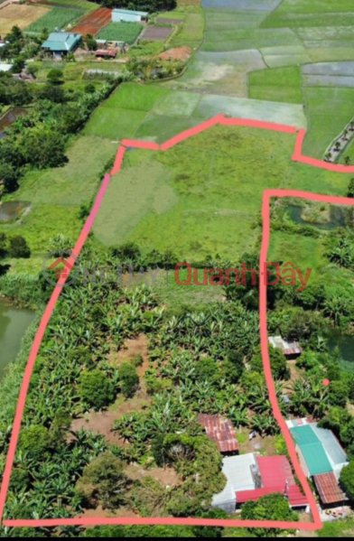 GOOD PRICE - ORIGINAL OWNER For Quick Sale 1 Hectare Of Land With 40m Frontage Of Pleiku City Sales Listings