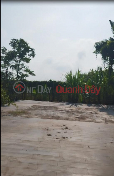 đ 2,5 tỷ Bán Đất Thổ Cư Nguyễn An Ninh, P. Sa Đéc, Đồng Tháp. DT 864m2, Sổ Hồng. Giá 2.5 Tỷ.