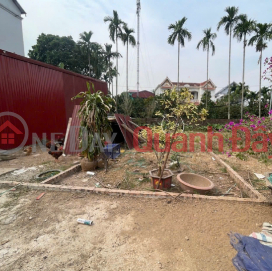 Bán đất Tráng Việt, Mê Linh, HN. Đường rộng, oto ra vào đất. Gần dự án cầu Thượng Cát _0