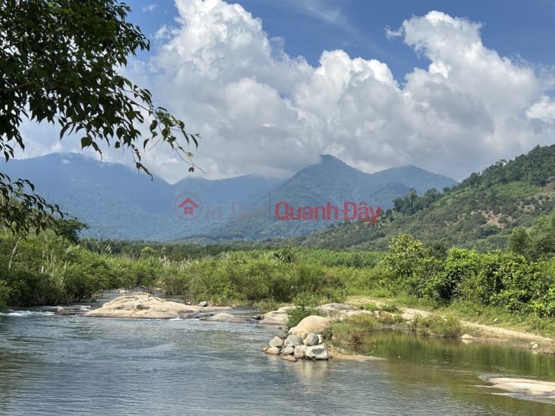 ĐẤT ĐẸP - GIÁ TỐT - Cần Bán Nhanh Lô Đất Vị Trí Đắc Địa Tại Xã Măng Tô,Tánh Linh, Bình Thuận Niêm yết bán