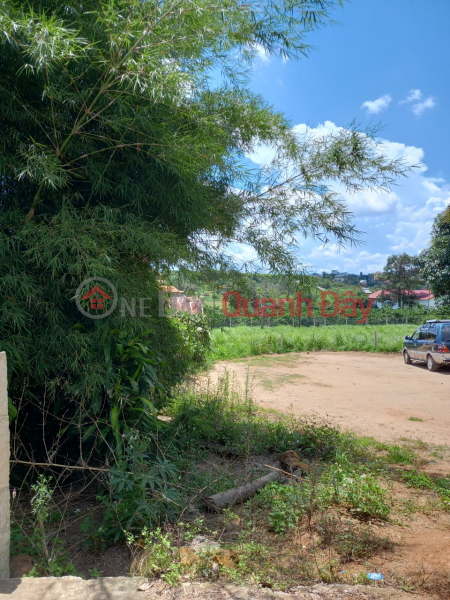 Property Search Vietnam | OneDay | Nhà ở, Niêm yết bán | CHÍNH CHỦ CẦN BÁN NHANH Lô Đất Đẹp Vị Trí Đắc Địa Tại Xã Ninh Gia Đức Trọng, Lâm Đồng