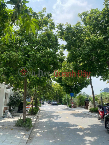 Property Search Vietnam | OneDay | Nhà ở, Niêm yết bán, bán đất dịch vụ 5.5 Tram Trôi, lô đất chuẩn ở, chuẩn đầu tư