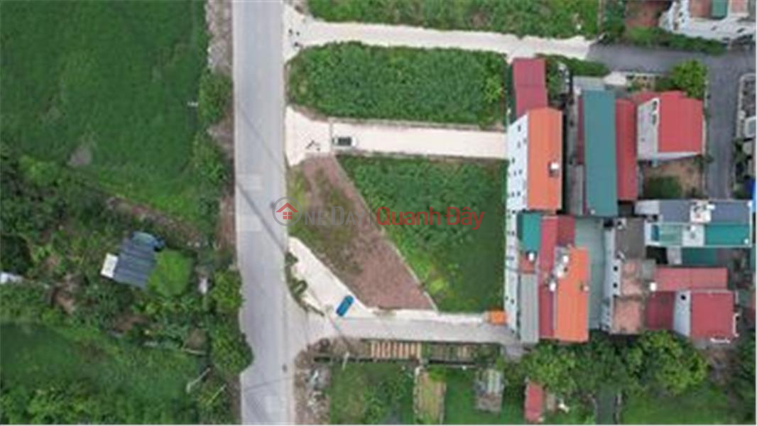 Dinh Trang Duc Tu Communal House auction starting price is only 27 million VND Sales Listings