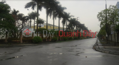 Selling 5000m2 of land in Quat Dong Industrial Park, Thuong Tin, with a separate area of 2500m2 _0