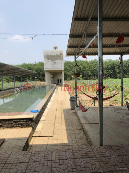 BÁN GẤP ĐẤT CHÍNH CHỦ GIÁ NGỘP TRẢ NỢ & XUỐNG SÀI GÒN Xã Thạnh Bình, Huyện Tân Biên, Tây Ninh | Việt Nam | Bán đ 3 tỷ