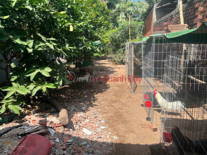 Property Search Vietnam | OneDay | Residential | Sales Listings Rice land for sale on DT 883 road, Dinh Trung commune, Binh Dai, Ben Tre, super bargain price 1.5 billion, 283m2