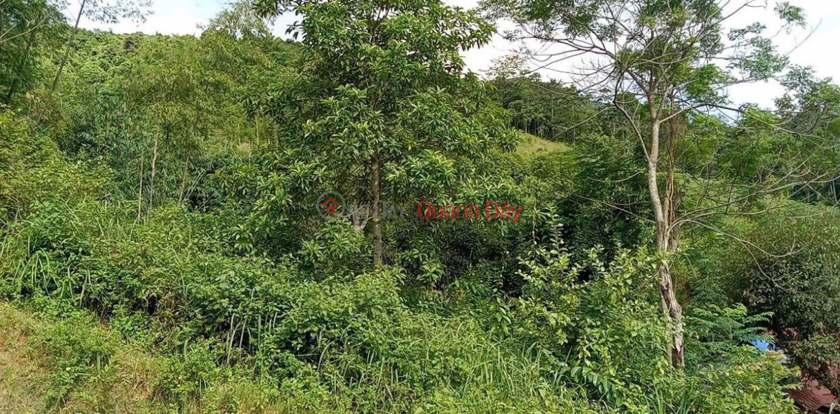 Property Search Vietnam | OneDay | Residential Sales Listings, OWNER NEEDS TO SELL FAST Lot 32m Frontage Beautiful Location Da Bac District, Hoa Binh