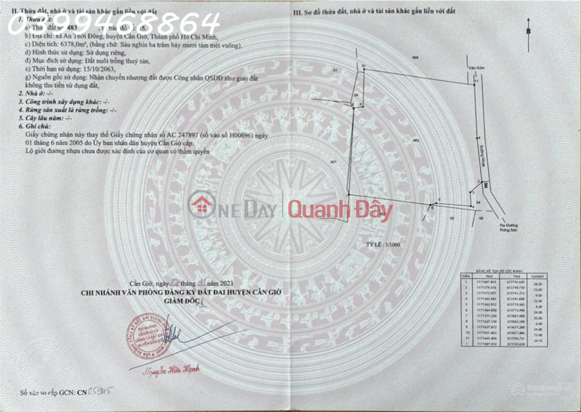 Urgent sale of beautiful land at the lowest price in An Thoi Dong area, Can Gio - 6,378m2 Sales Listings