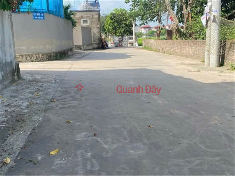 Làm ơn chọn | Nhà ở Niêm yết bán, đ 10 triệu