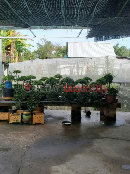HXT Garden Land 722m2, Back expansion - Xuan Thoi Thuong 2 HM, Vietnam | Sales | đ 4 Billion