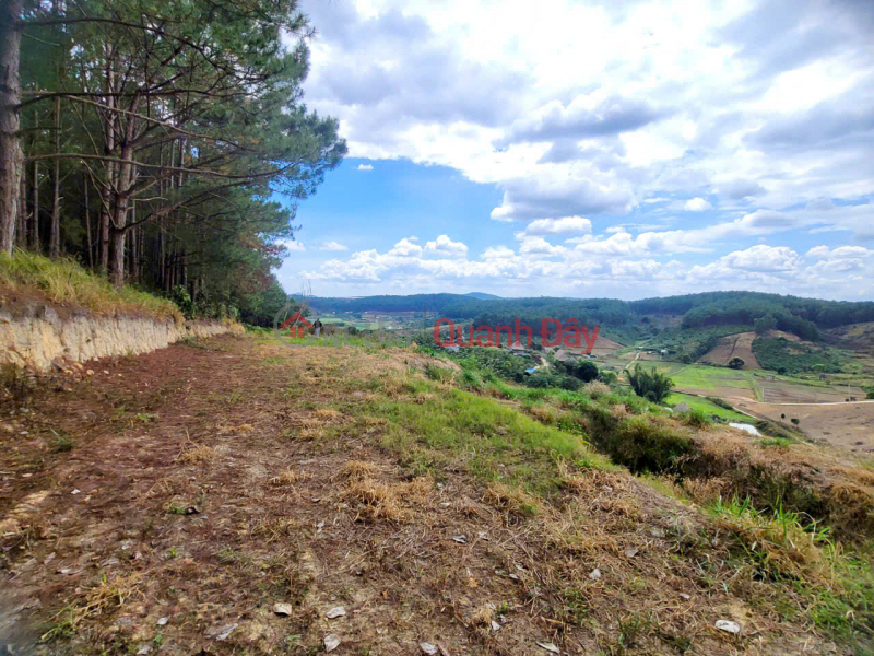 đ 6 Billion | FOR SALE 6525M LAND WITH PRIVATE TITLE IN TA NUNG, DA LAT - price only 6 billion