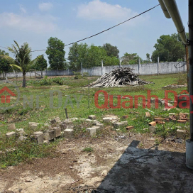 BEAUTIFUL LAND LOT - INVESTMENT IS PROFITABLE - Land for Sale in Duc Lap Ha Commune, Duc Hoa, Long An _0