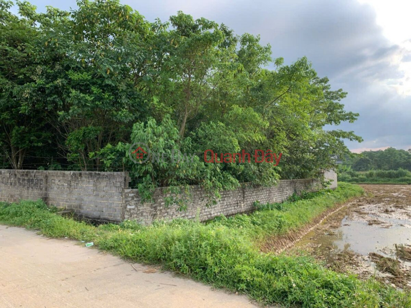 Property Search Vietnam | OneDay | Nhà ở, Niêm yết bán BÁN LÔ ĐẤT DIỆN TÍCH TO 1627M TẠI TÂN TIẾN ( HIỆN TẠI XÃ XUÂN MAI)-CHƯƠNG MỸ-HÀ NỘI