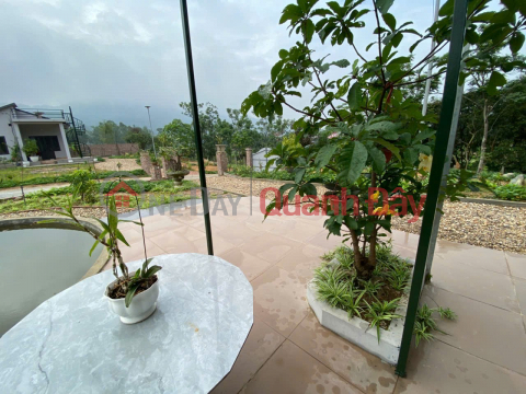 LAND IN GOOD LOCATION - GOOD PRICE Owner sells land in Soc Son district, Hanoi _0