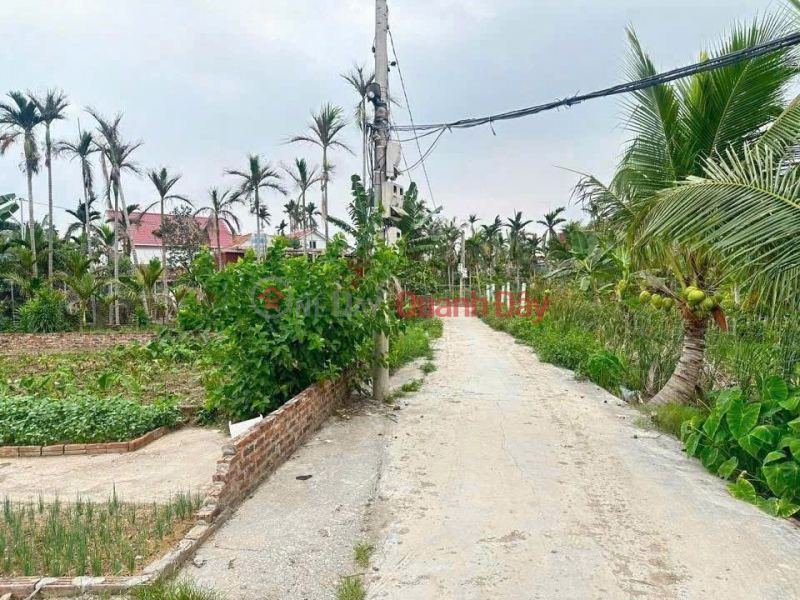 đ 630 Million Land with cars available - Tan Phong Center, Kien Thuy Price is only slightly over 6xx million ZALO 0567 222 555