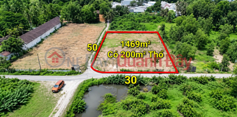 Owner selling a prime plot of land in Long Phuoc, 1,500m2 - Near the University Village, near Vincom District 9 - Excellent price. _0