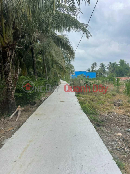 ₫ 395 Million BEAUTIFUL LAND - GOOD PRICE - Own Land Lot Right Now Location In Go Cong Tay district - Tien Giang