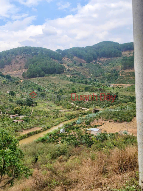 CẦN BÁN 6525M ĐẤT SỔ RIÊNG TÀ NUNG ĐÀ LẠT - giá chỉ 6 tỷ _0