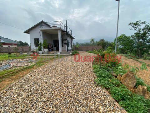 LAND IN GOOD LOCATION - GOOD PRICE Owner sells land in Soc Son district, Hanoi _0