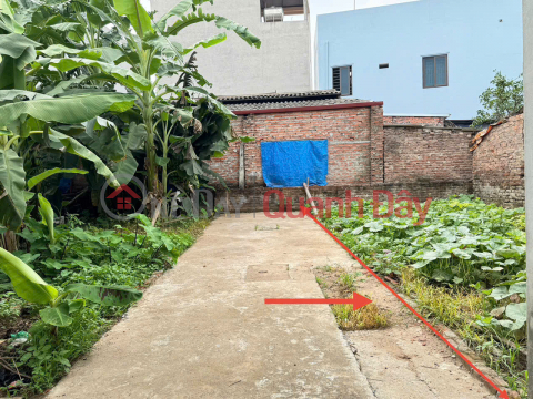 Bán 50,5m đất thôn Tráng Việt, xã Tráng Việt, Mê Linh. Đón sóng cầu Thượng Cát _0
