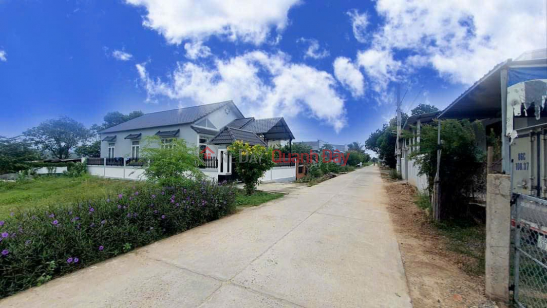 Investors Are Hunting For Coastal Land In Phuoc The Binh Thuan Residential Area With Good Prices Of Only 7xxTR | Vietnam Sales | ₫ 799 Million