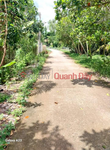 Property Search Vietnam | OneDay | Nhà ở | Niêm yết bán ĐẤT ĐẸP - GIÁ TỐT - CHÍNH CHỦ Cần Bán Nhanh Lô Đất Vị Trí Tại Tỉnh Đồng Tháp