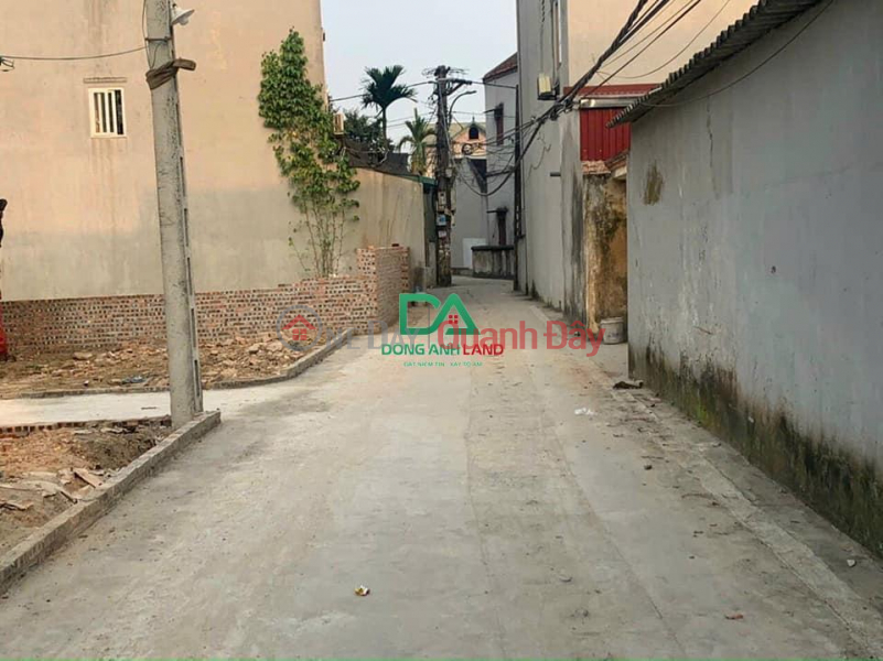 Land for sale 40m2 in Nhi Van village, Dong Anh, car road, price 1.3 billion DONGANHLAND Sales Listings