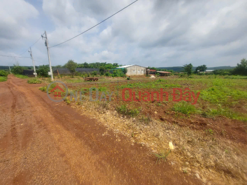 HOT! OWN BEAUTIFUL LAND - GOOD PRICE At Viet Quang Hamlet, Loc Quang Commune, Loc Ninh District, Binh Phuoc _0