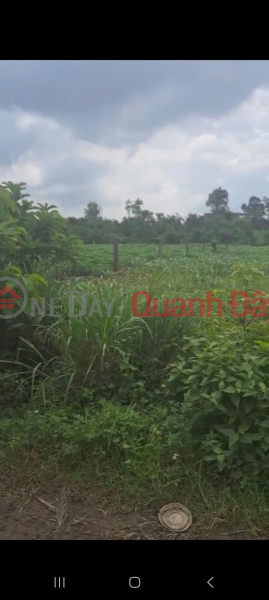 Property Search Vietnam | OneDay | Nhà ở Niêm yết bán, Chính Chủ Bán Đất Để Lo Cho Em Ăn Học Tại Xã Xuân Trường, Xuân Lộc, Đồng Nai