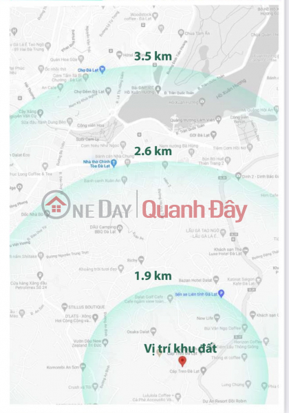 Đất nền khu đồi Robin kế bên cafe Lulu Lola Phường 3 thành phố Đà Lạt - Diện tích 4484,76 m2 giá 25tr/m | Việt Nam Bán ₫ 112 tỷ