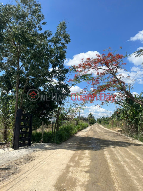 ĐẤT ĐẸP – GIÁ TỐT – CHÍNH CHỦ CẦN BÁN GẤP ĐẤT Tại Chợ Quỳnh Ngọc , Xã Ea Na, Đắk Lắk _0