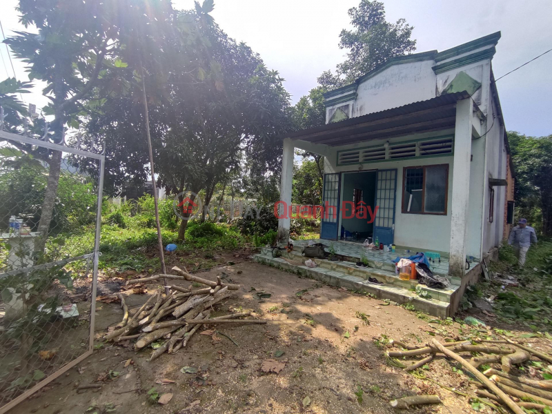 Property Search Vietnam | OneDay | Residential Sales Listings Land with 2 frontages in Phu Dien - Tan Phu - Dong Nai