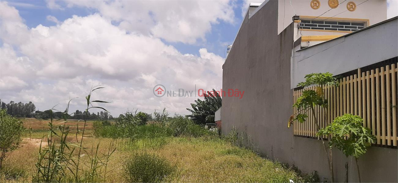 BEAUTIFUL LAND - GOOD PRICE - Own a Beautiful Land Lot In Vinh Trach, An Giang Sales Listings