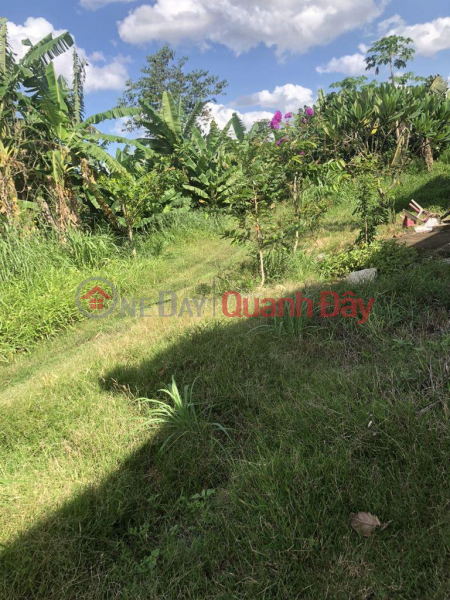 Property Search Vietnam | OneDay | Residential, Sales Listings | OWNER FOR SALE LOT OF LAND BEAUTIFUL LOCATION AT Tan Hai Hamlet, Loc Phu Commune, Loc Ninh District, Binh Phuoc