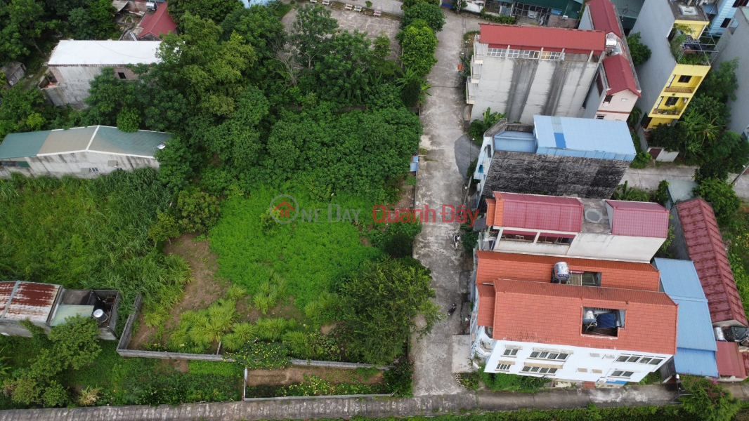 đ 28 Billion | CC needs to sell plot of land 800\\/1000m2, Full residential, price 2x billion at Dai Yen auction land area, Chuong My, Hanoi, cars