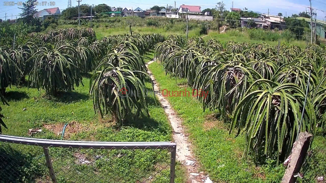 PRIME LAND FOR SALE - GREAT PRICE - URGENT SALE OF A PLOT OF LAND IN A STREET LOCATION IN HAM THUAN NAM, BINH THUAN PROVINCE Sales Listings