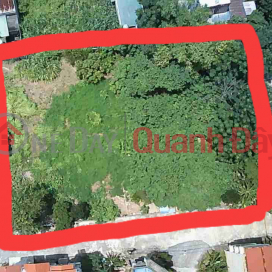 CC needs to sell plot of land 800\/1000m2, Full residential, price 2x billion at Dai Yen auction land area, Chuong My, Hanoi, cars _0