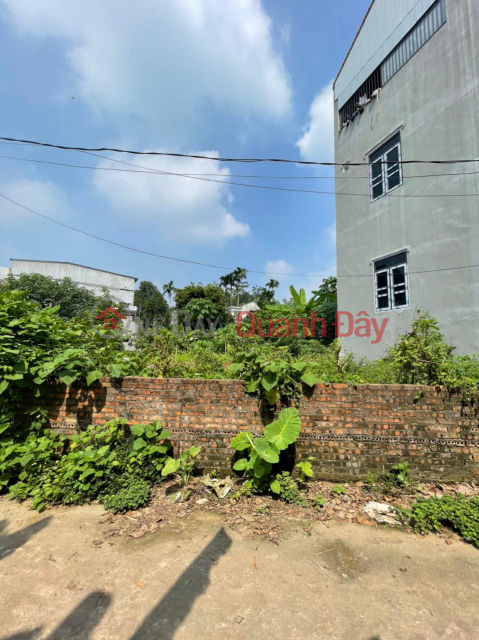 The owner needs to quickly sell the plot of land belonging to Group 14 - Lien Minh area - Minh Phuong Ward - Viet Tri - Phu Tho. _0