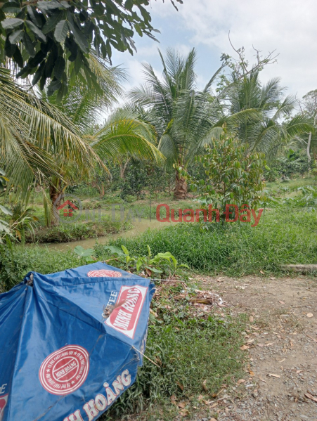 đ 7 Billion, BEAUTIFUL LAND - GOOD PRICE - FOR URGENT SALE Land Plot In Tam Binh District, Vinh Long - Investment Price