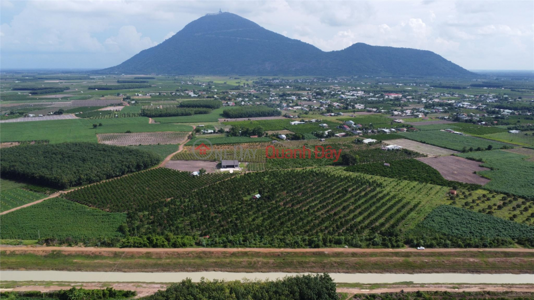 Lush garden, view of Ba Tay Ninh Mountain - 5 acres of beautiful Durian and Jackfruit for sale! Sales Listings